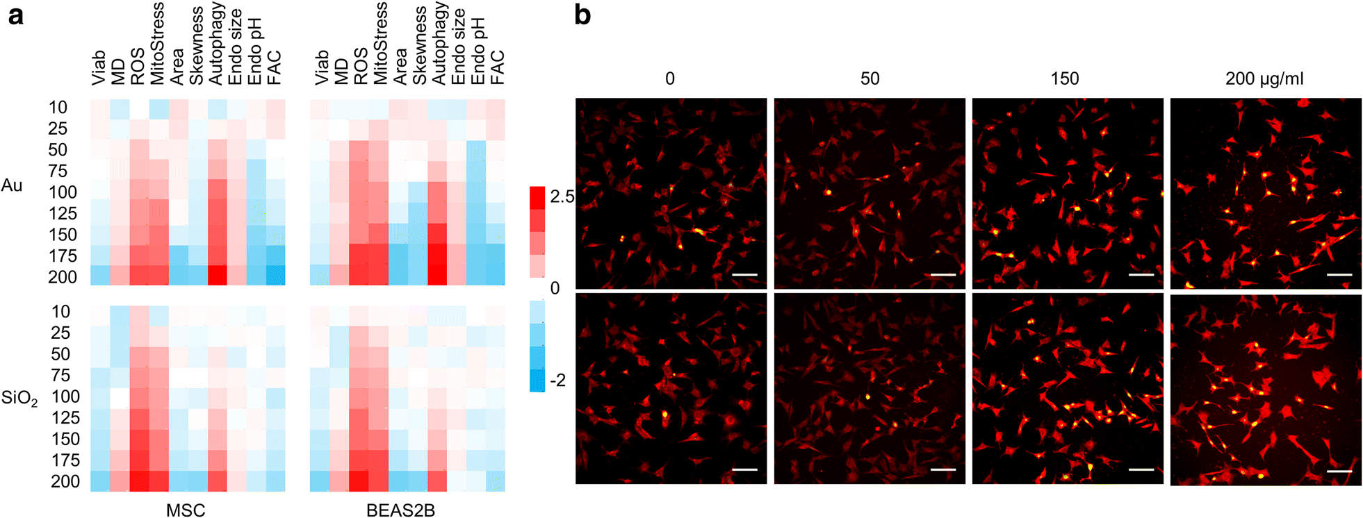 Fig. 2