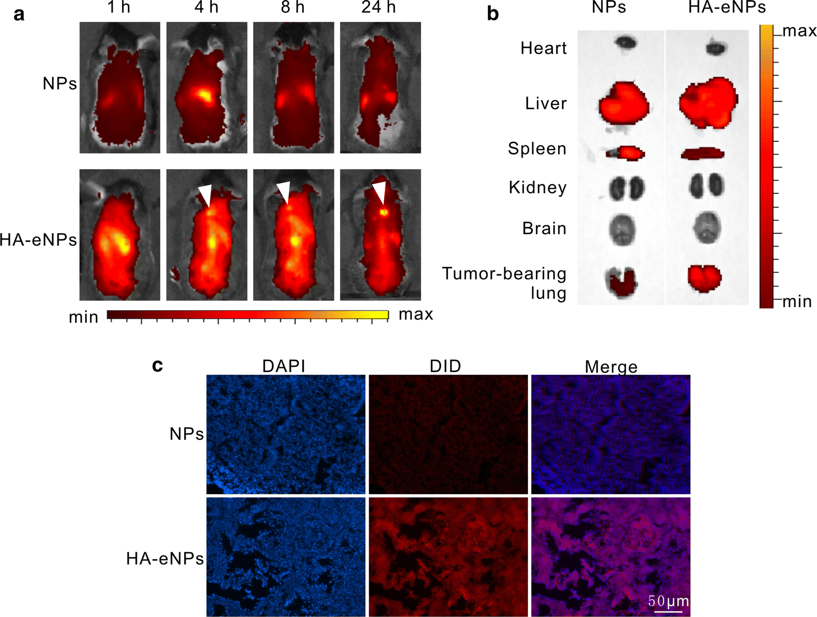 Fig. 6