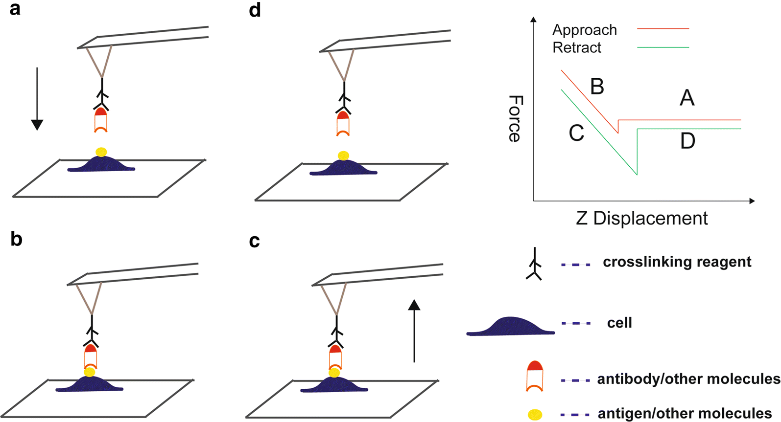 Fig. 5