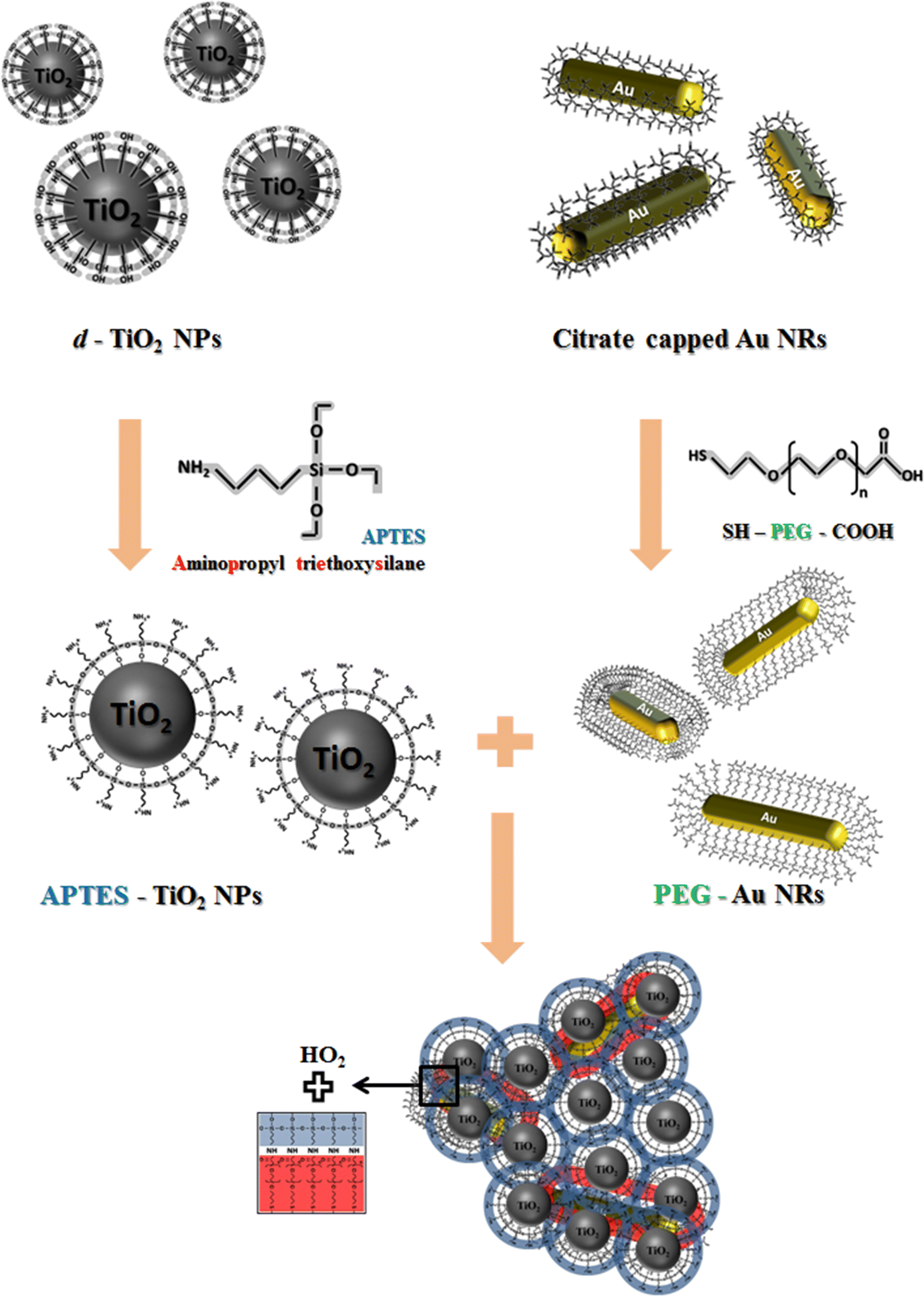 Fig. 1