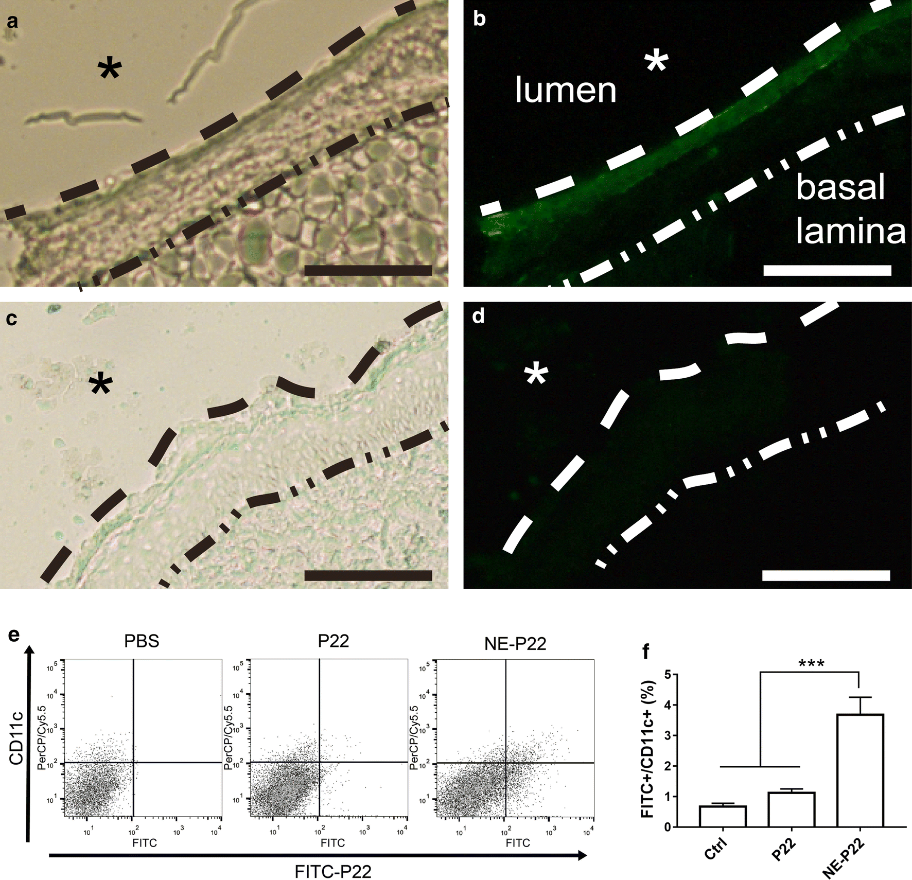 Fig. 5