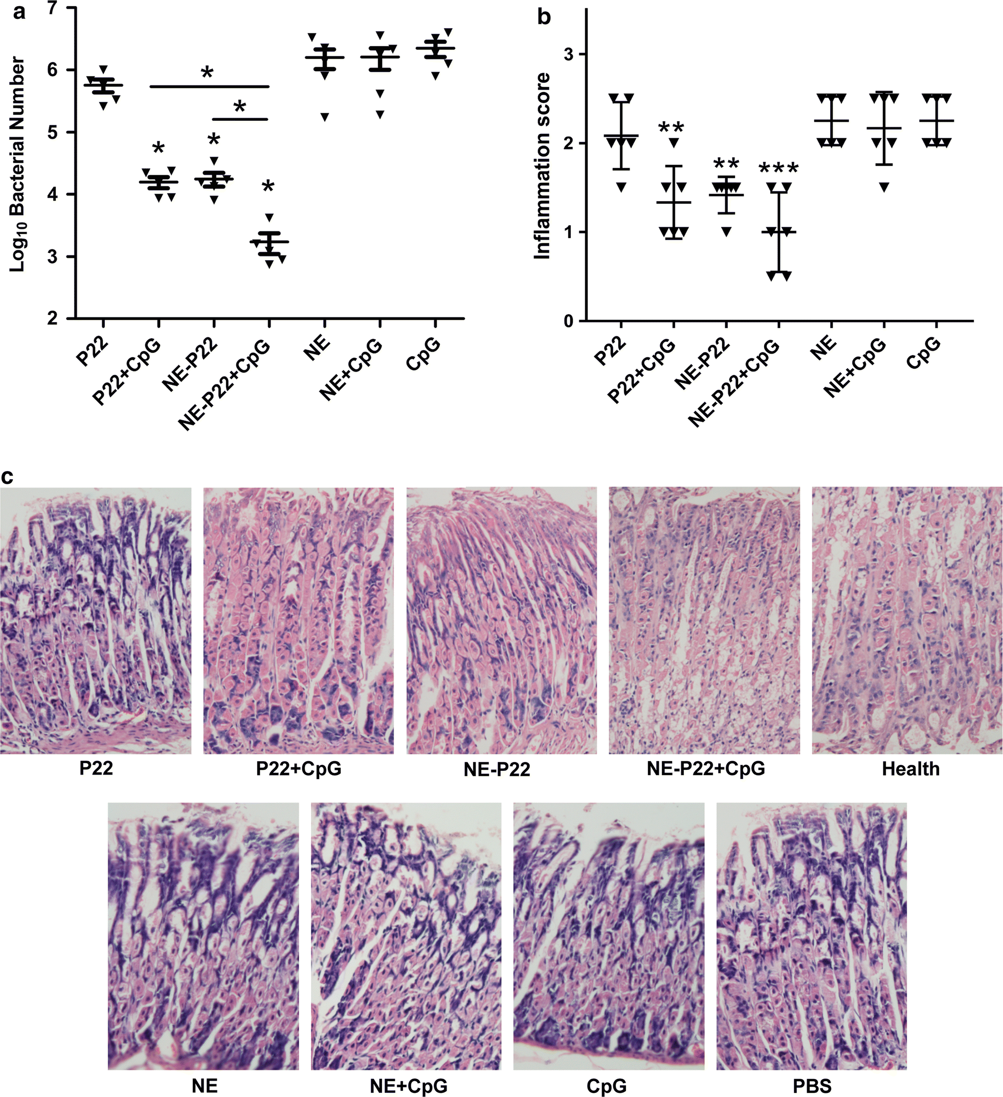 Fig. 7