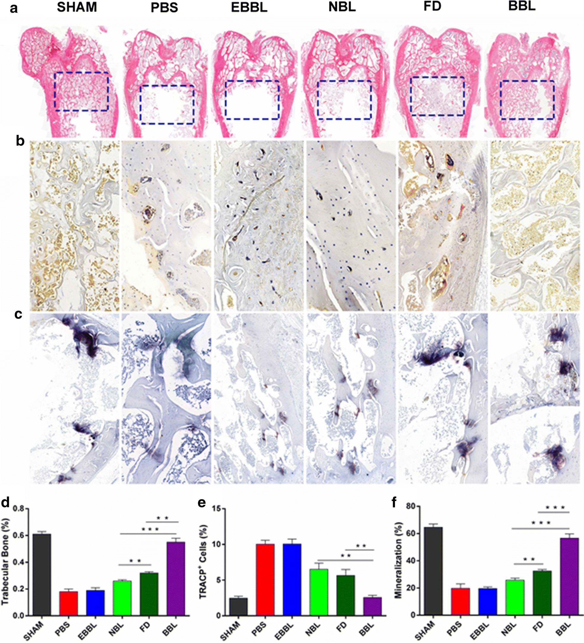 Fig. 8