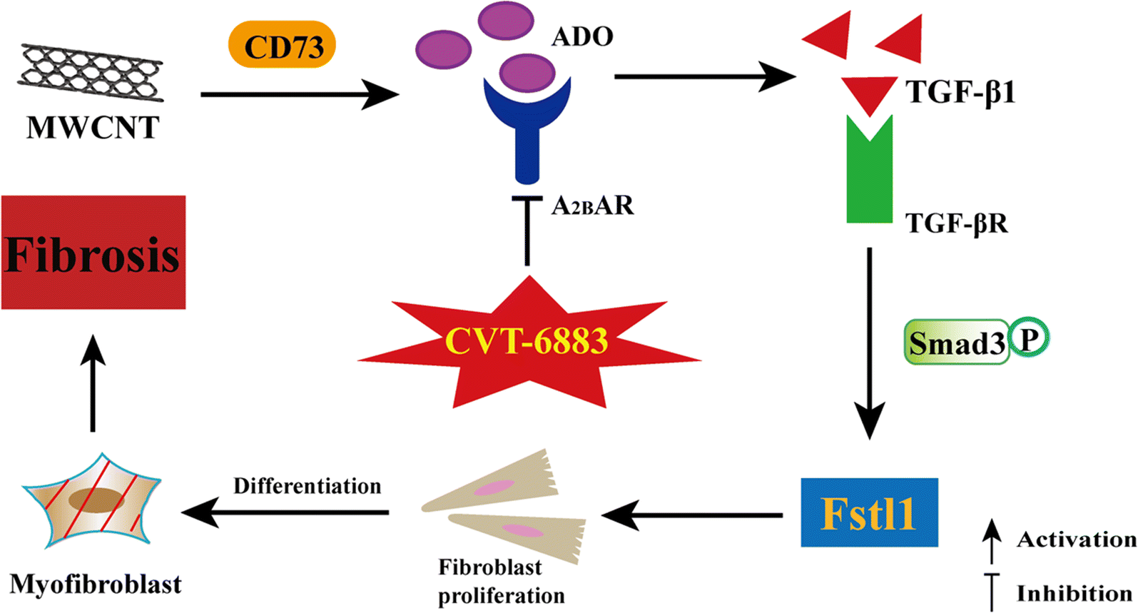 Fig. 7