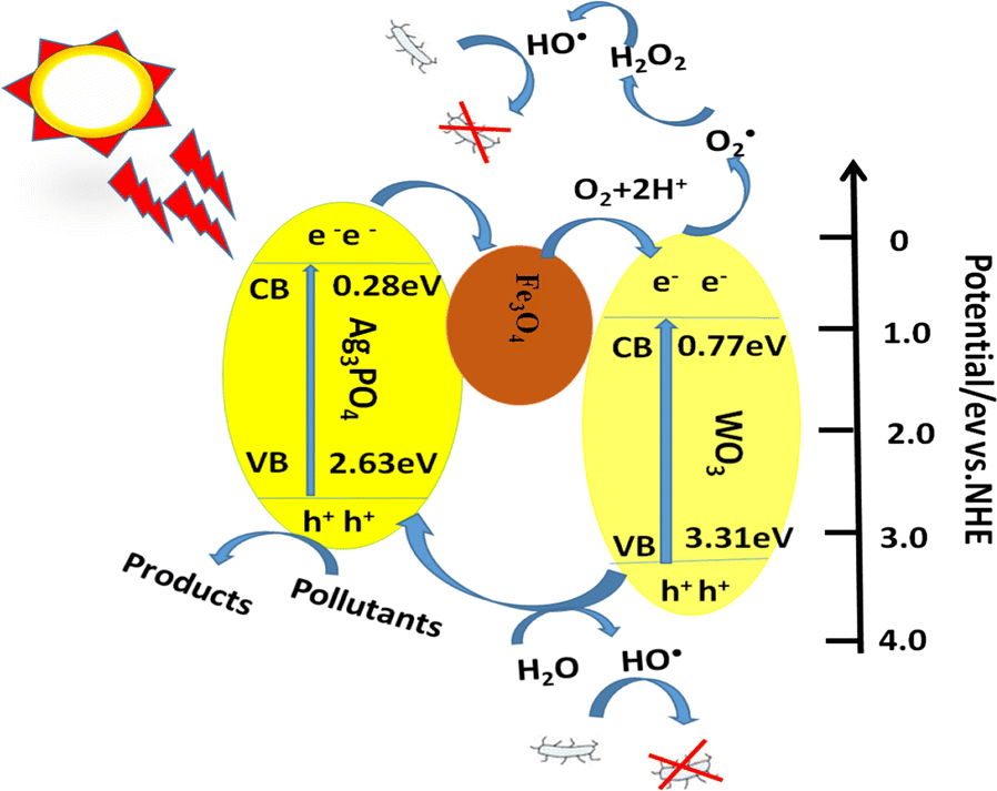 Fig. 14