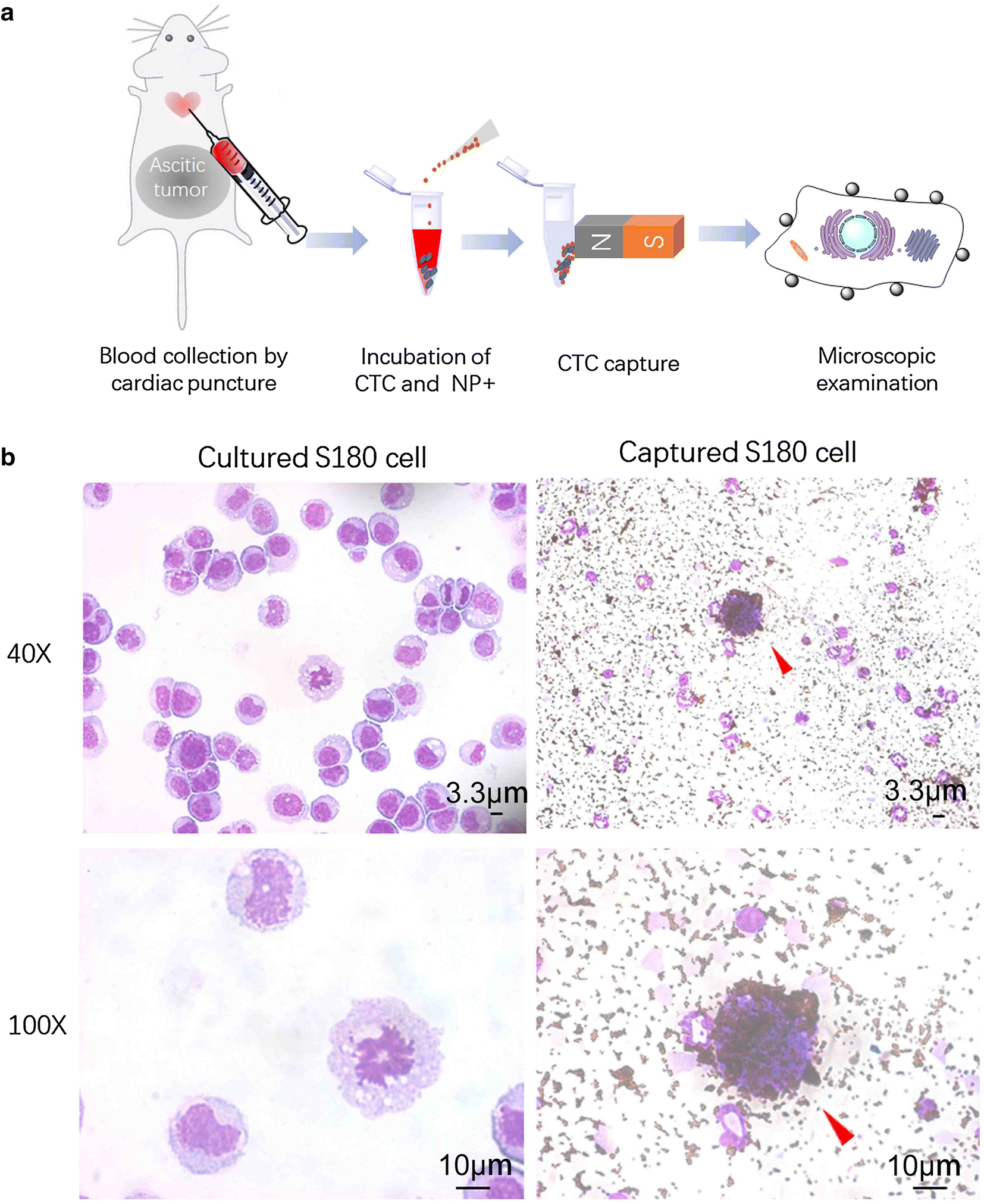 Fig. 6