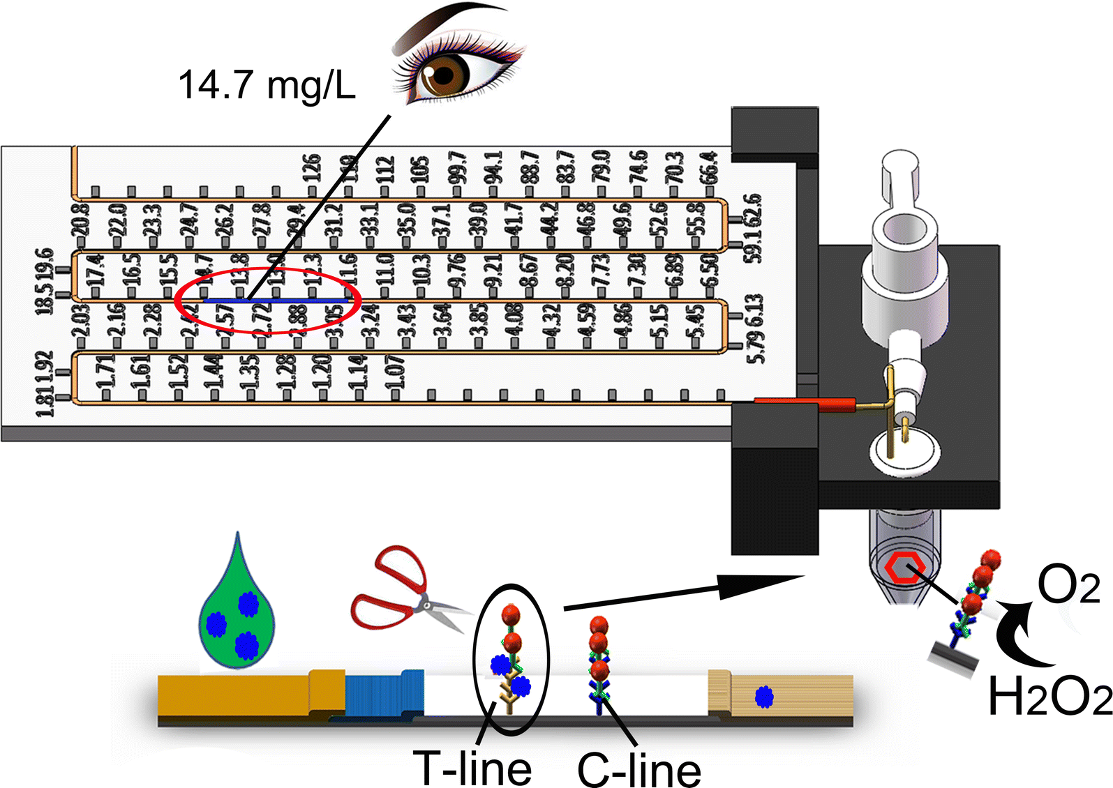 Fig. 1