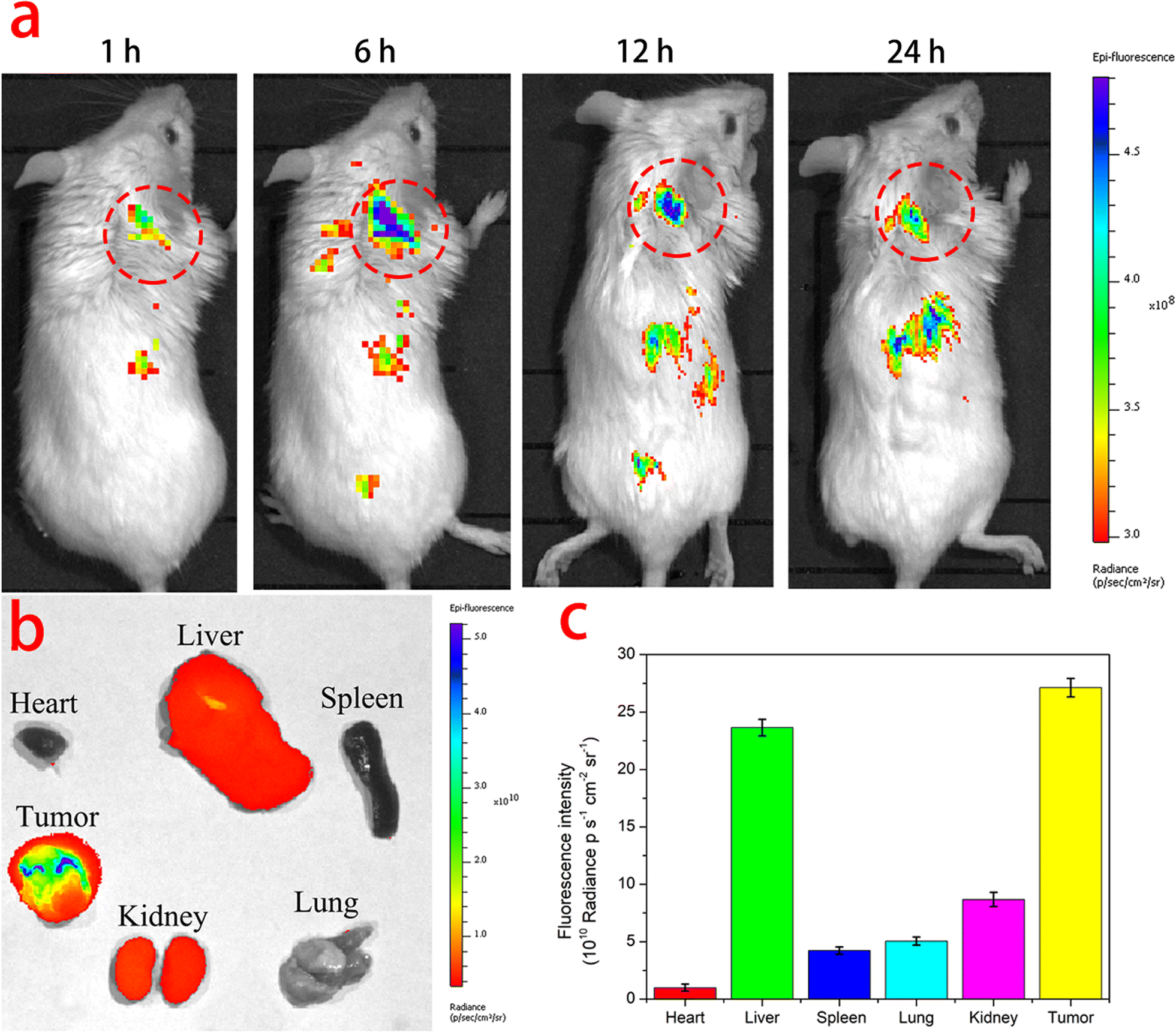 Fig. 7