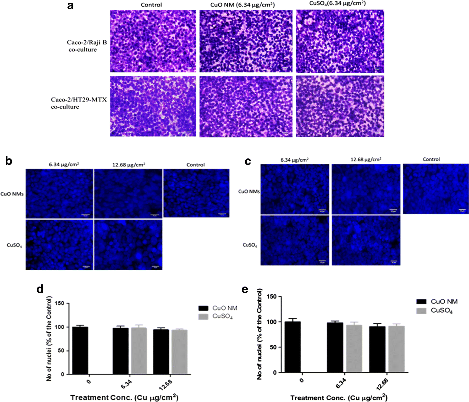 Fig. 6