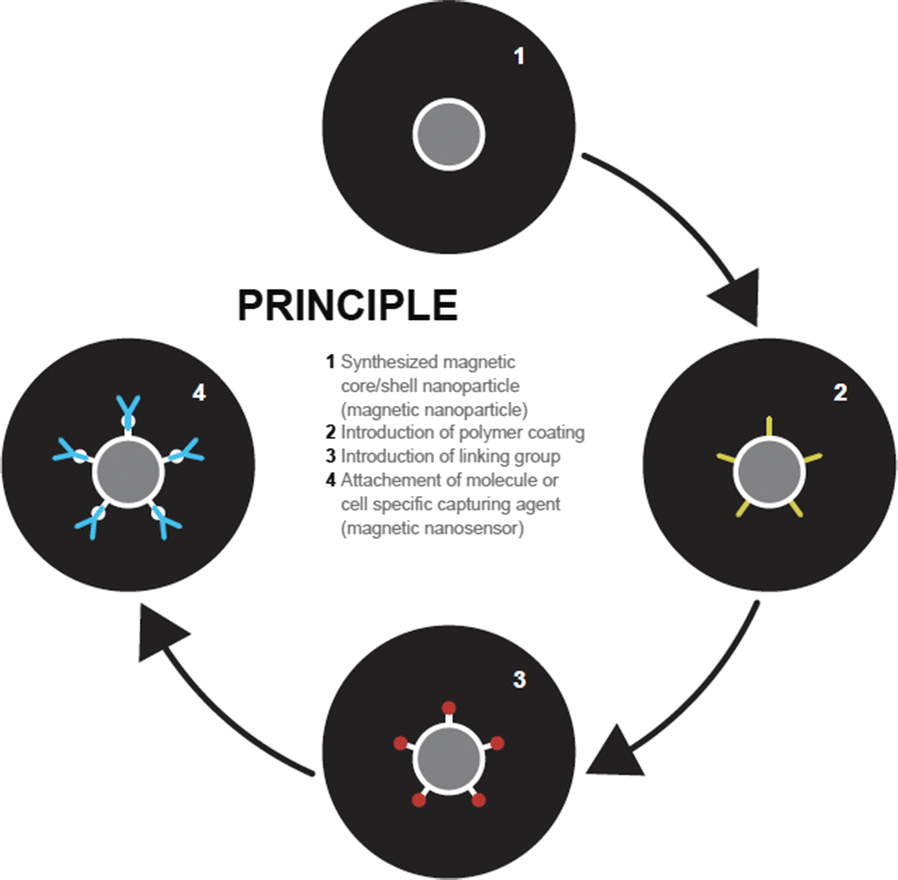 Fig. 1