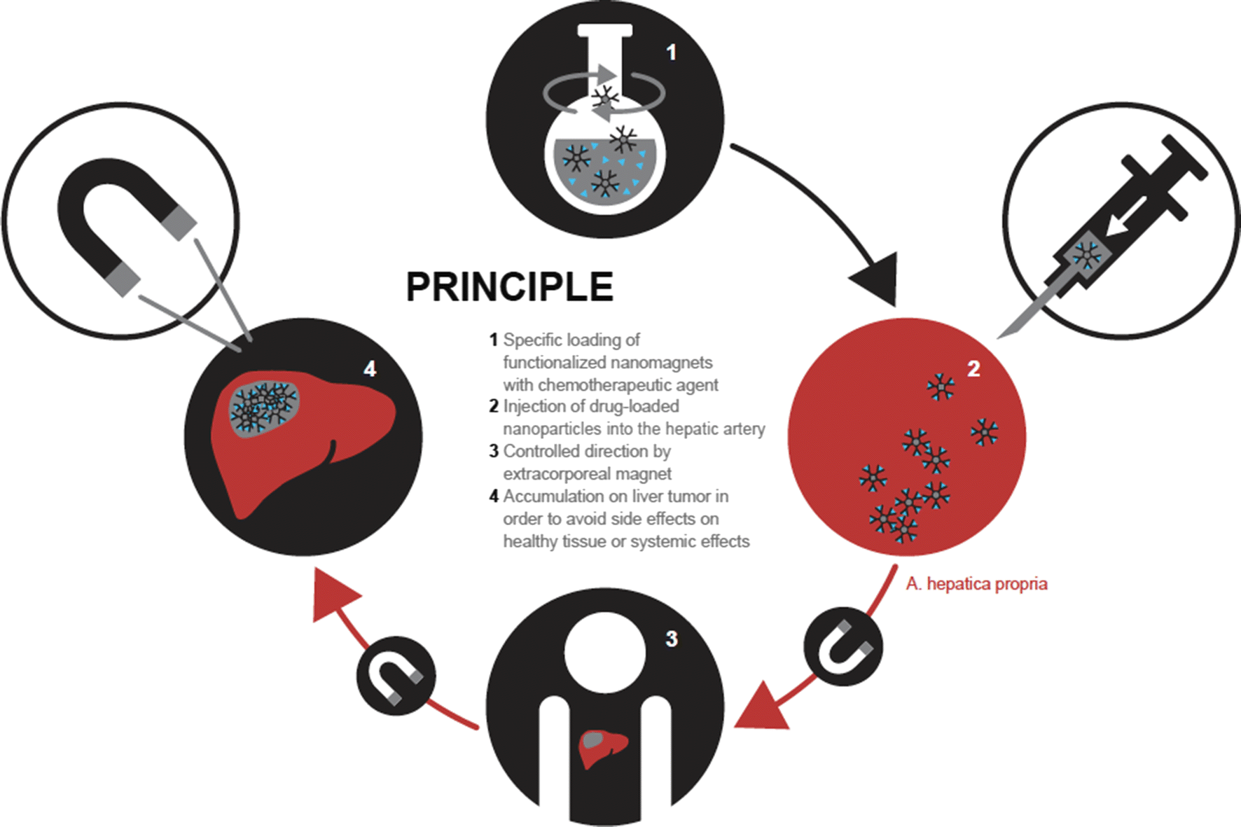 Fig. 2