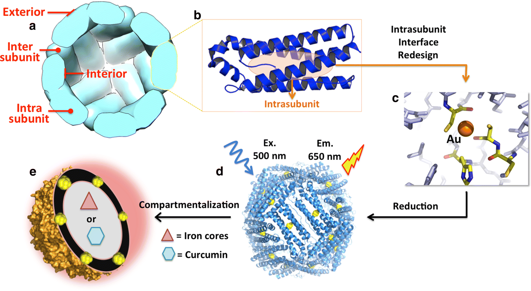 Fig. 1