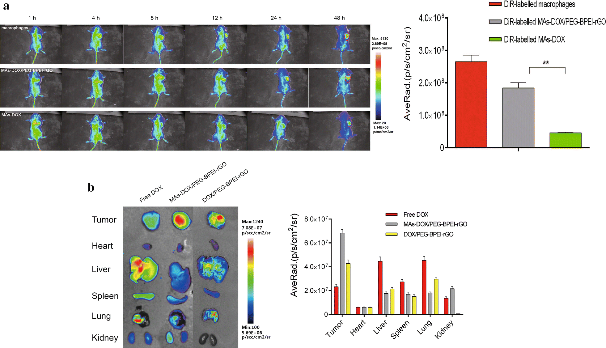 Fig. 7