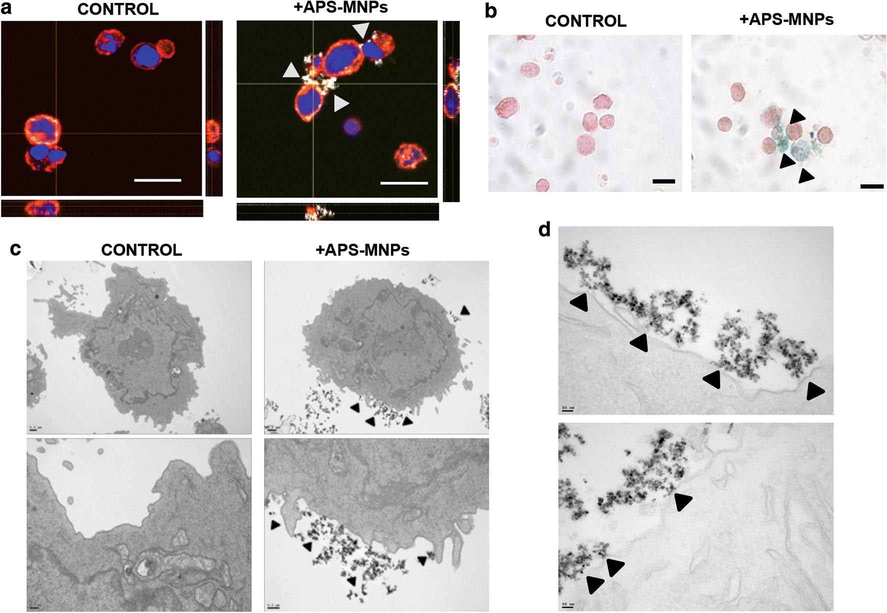 Fig. 2