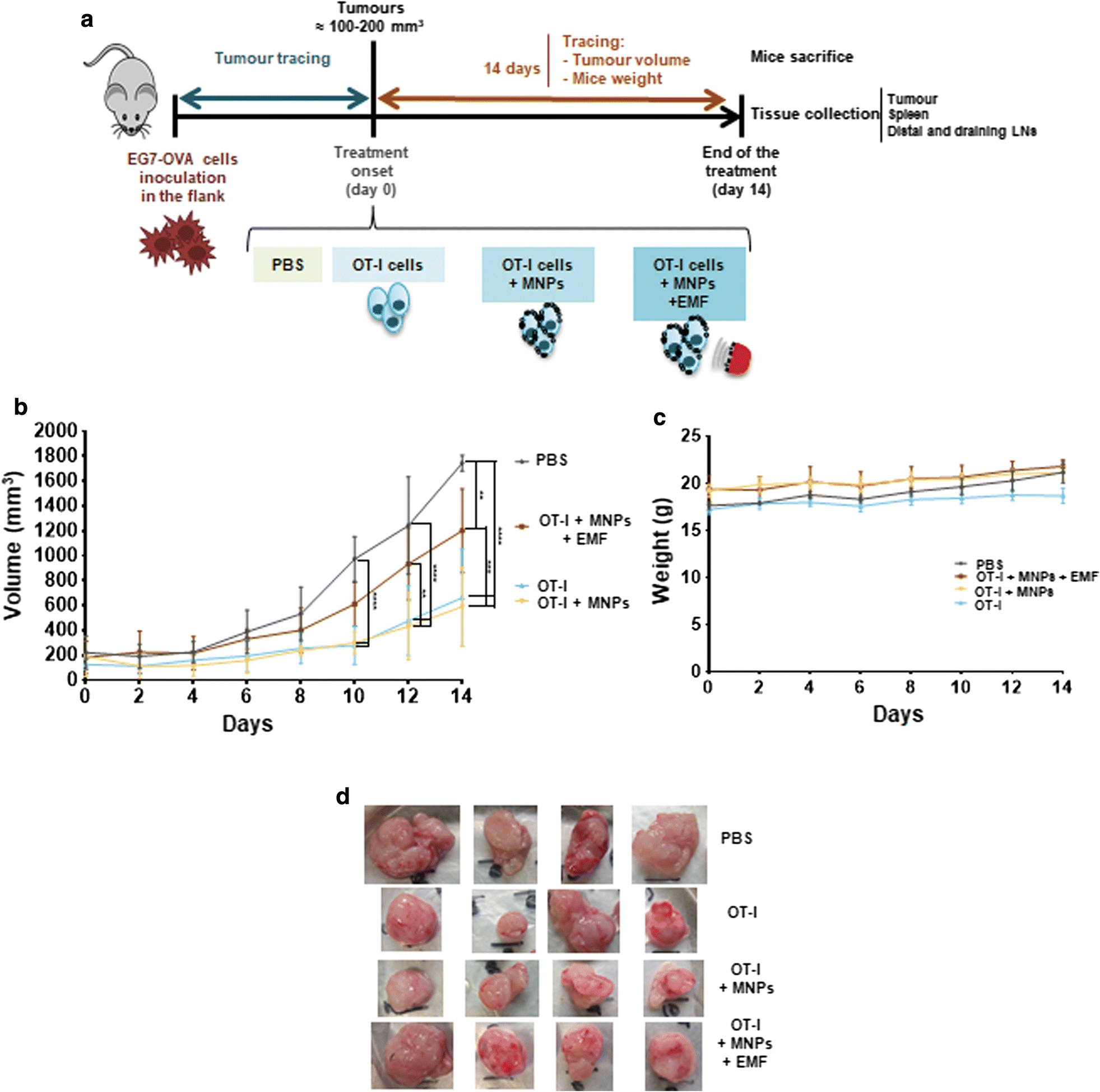 Fig. 7