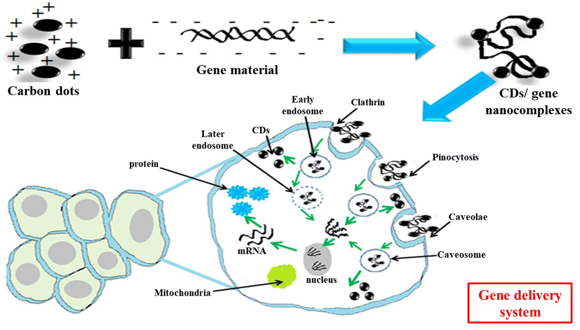 Fig. 3