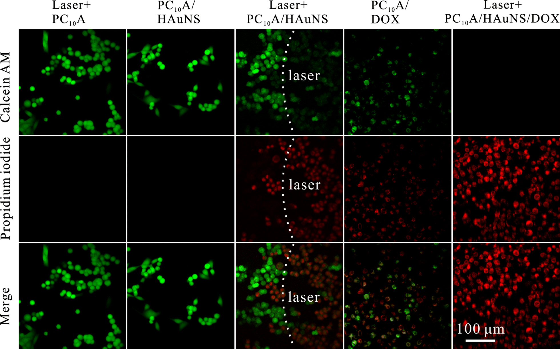 Fig. 7