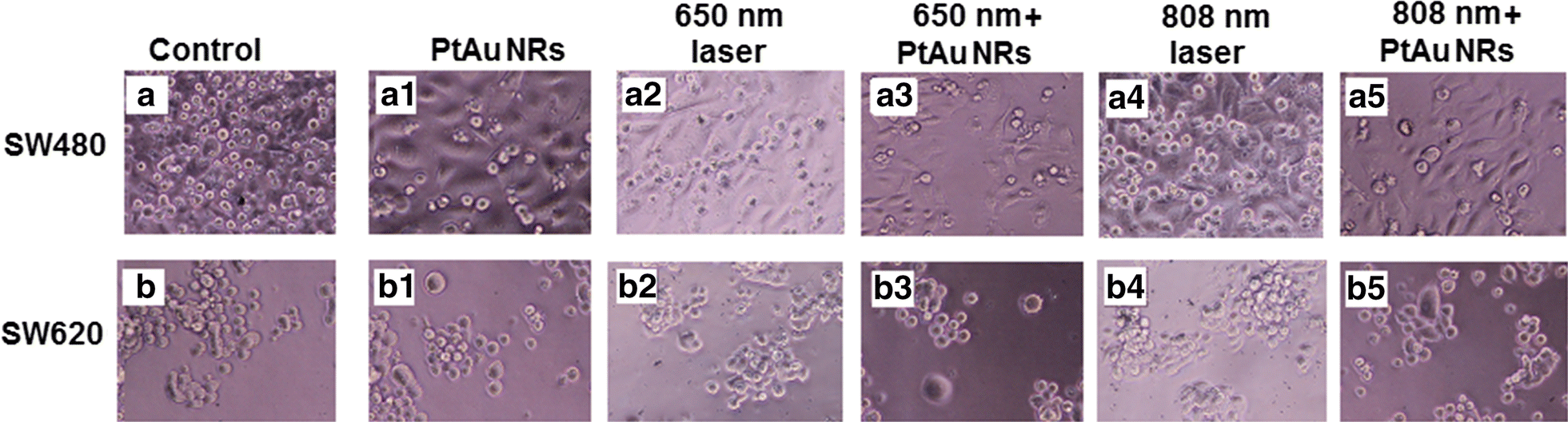 Fig. 3