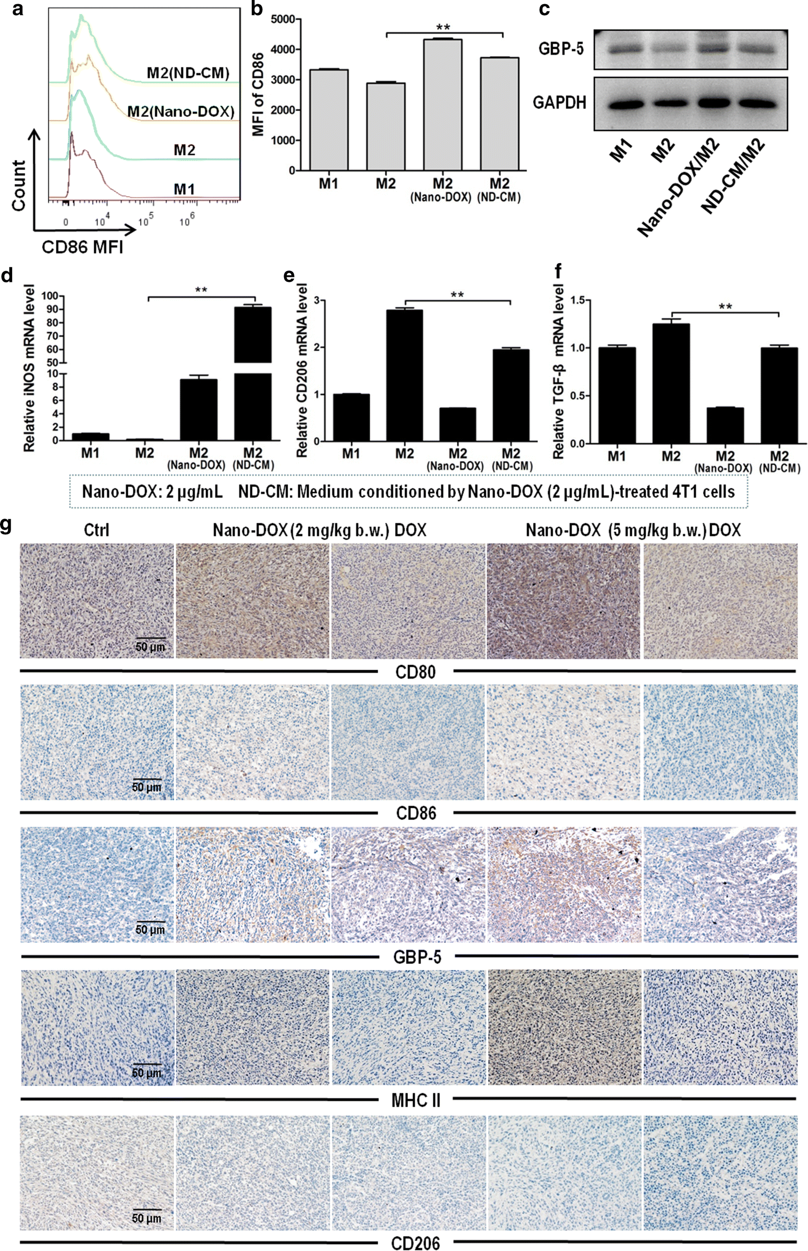 Fig. 10