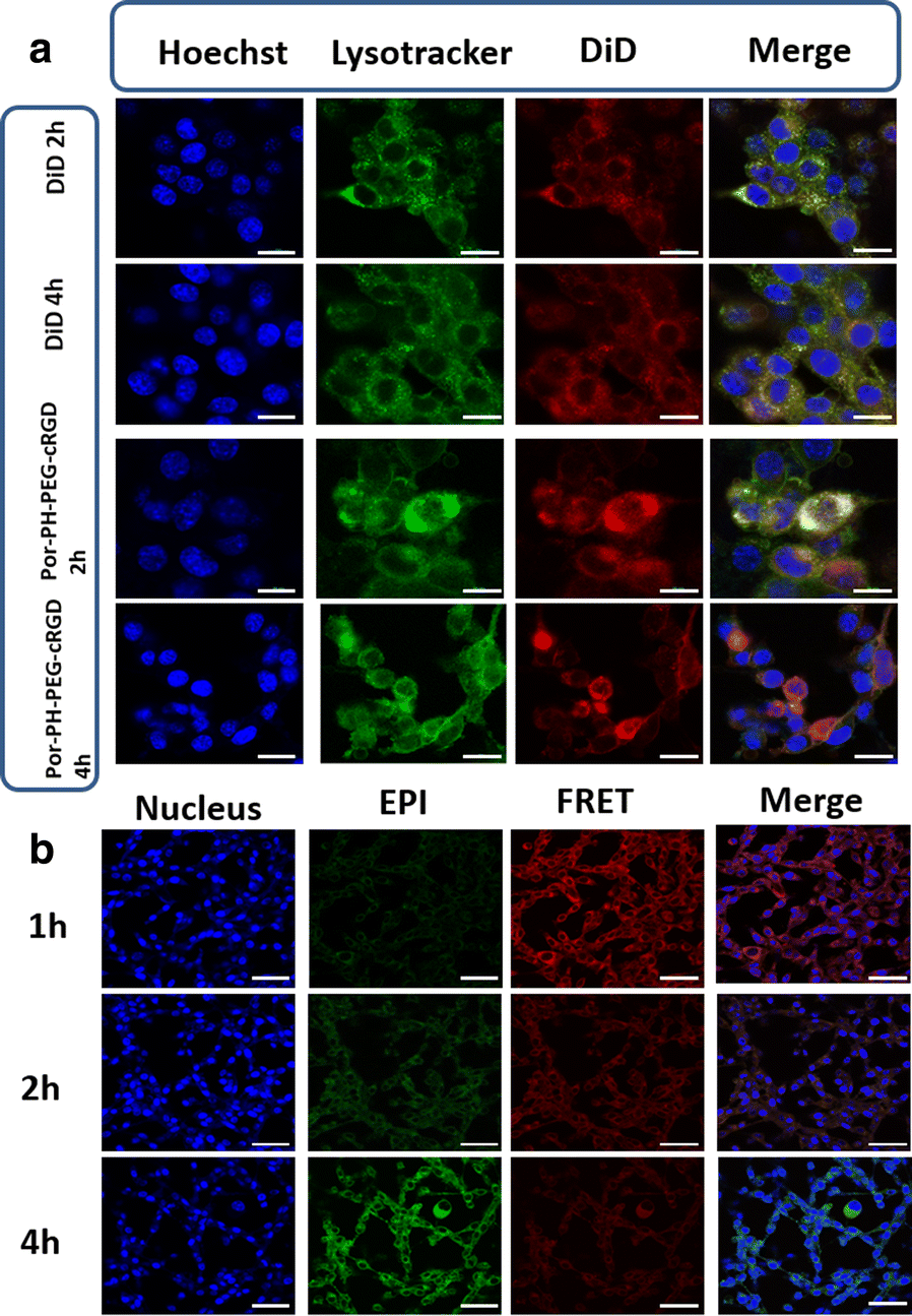 Fig. 9