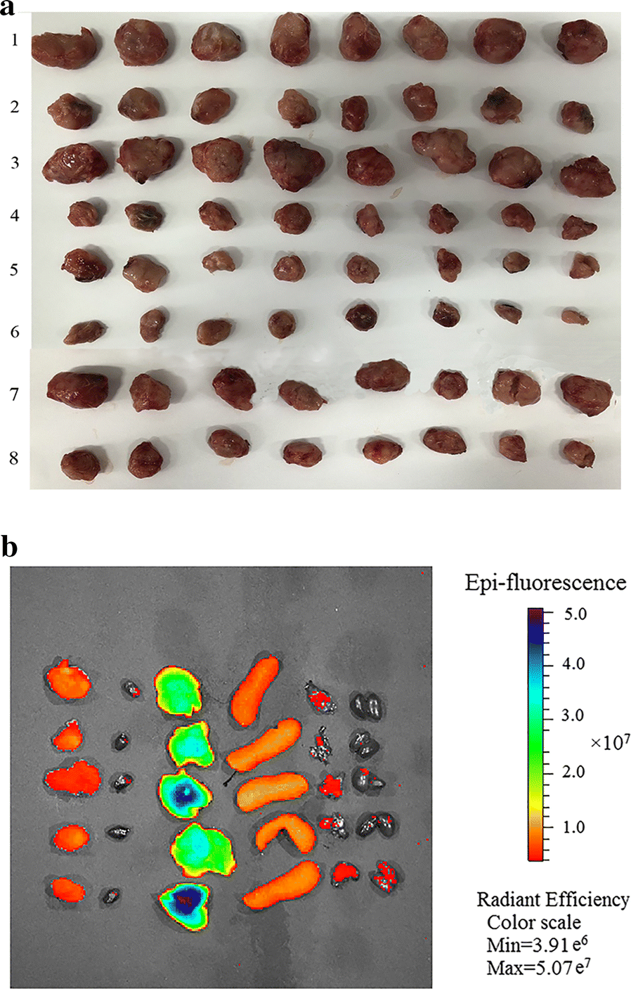 Fig. 6