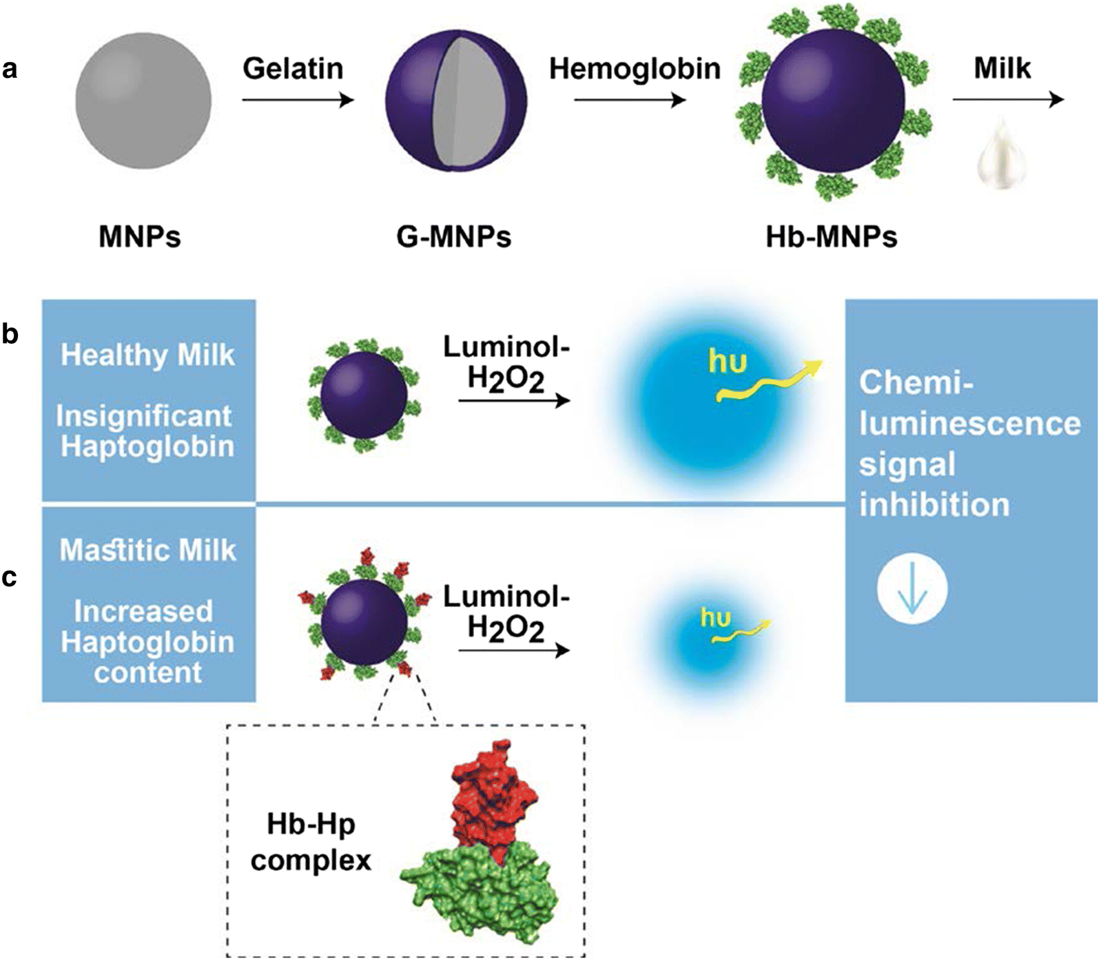 Fig. 1