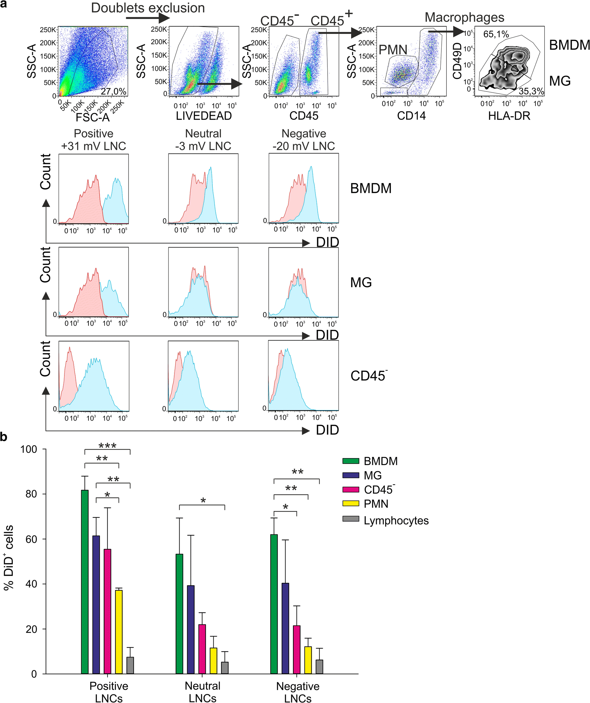 Fig. 5