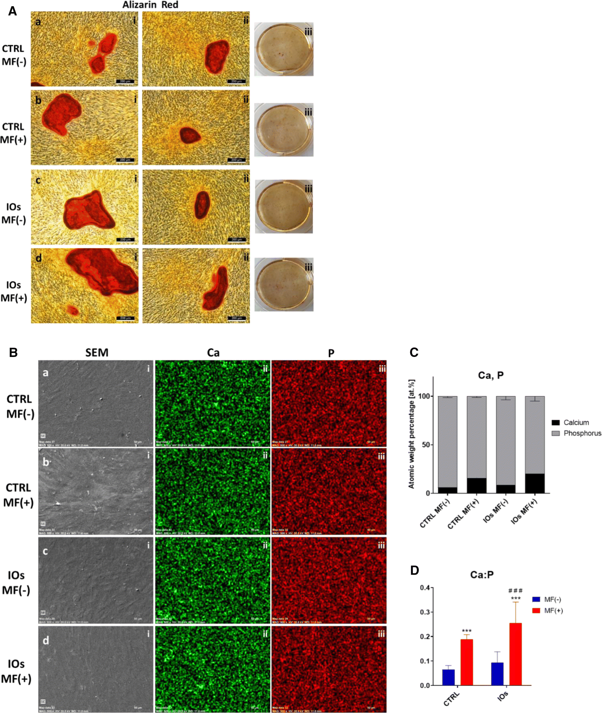 Fig. 9