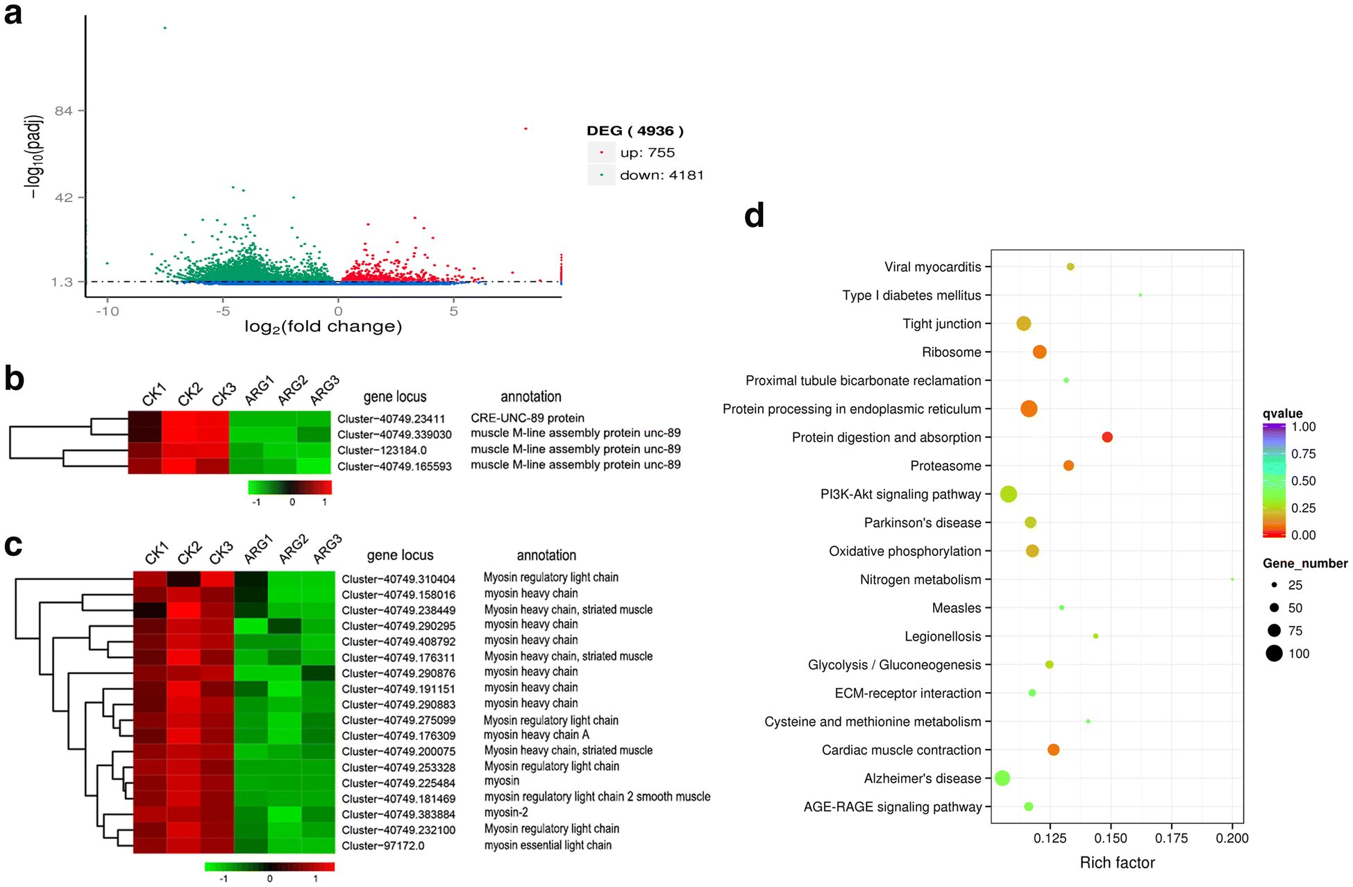 Fig. 7