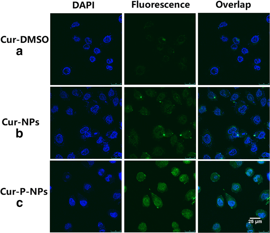 Fig. 11