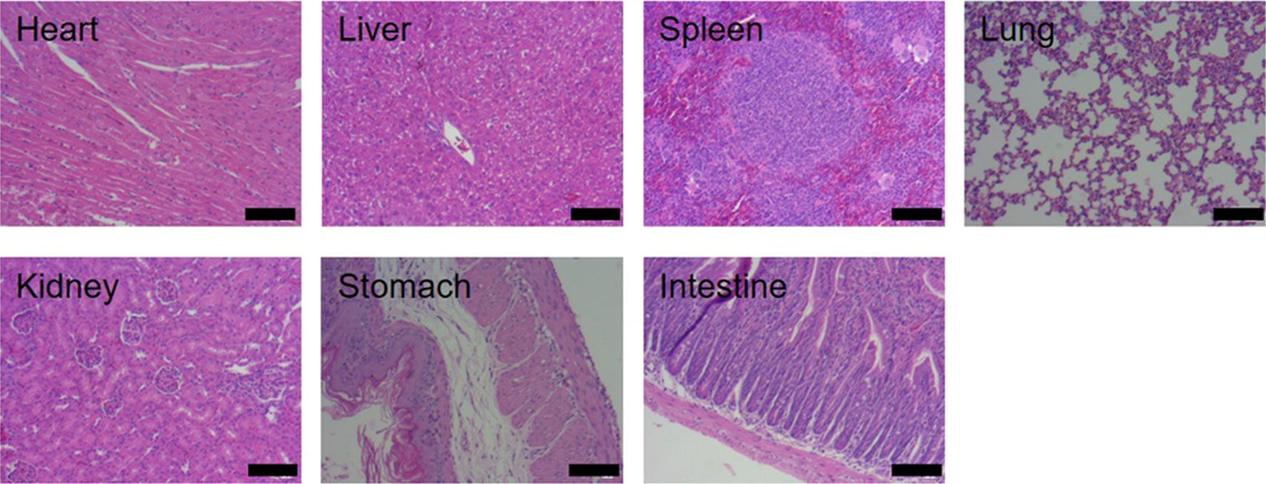 Fig. 10