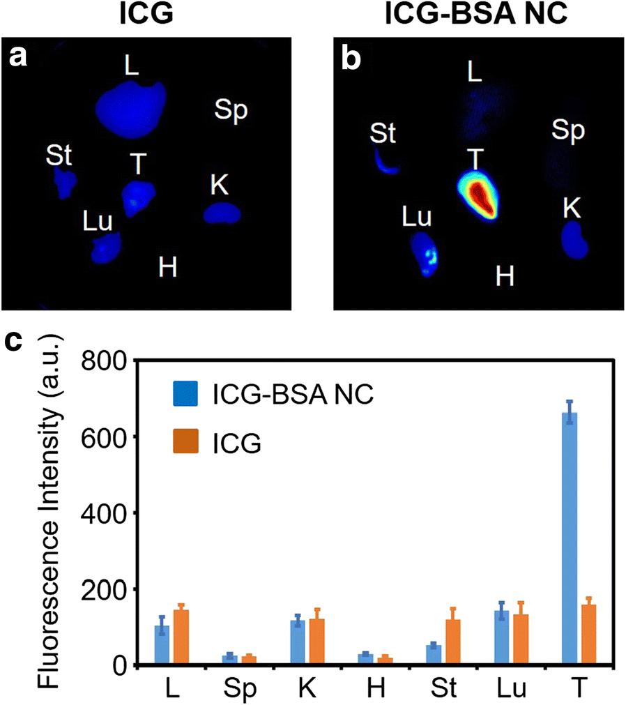 Fig. 8