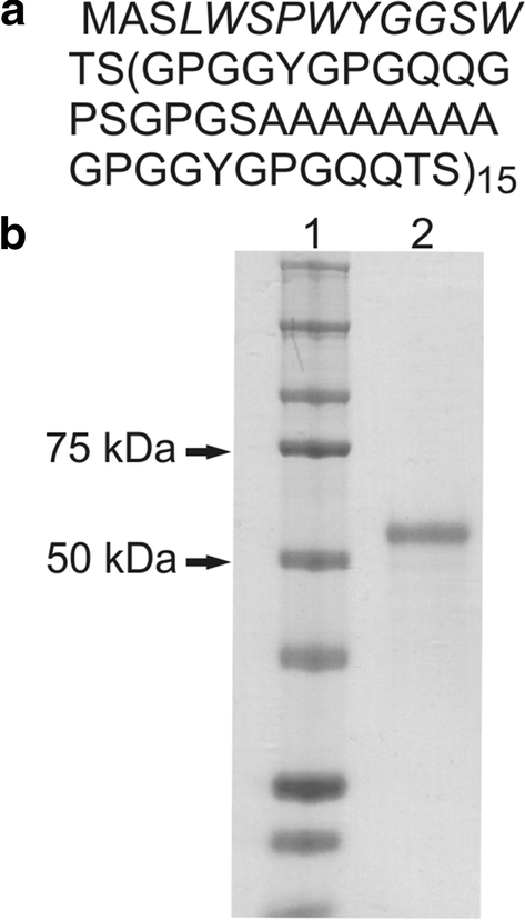 Fig. 1