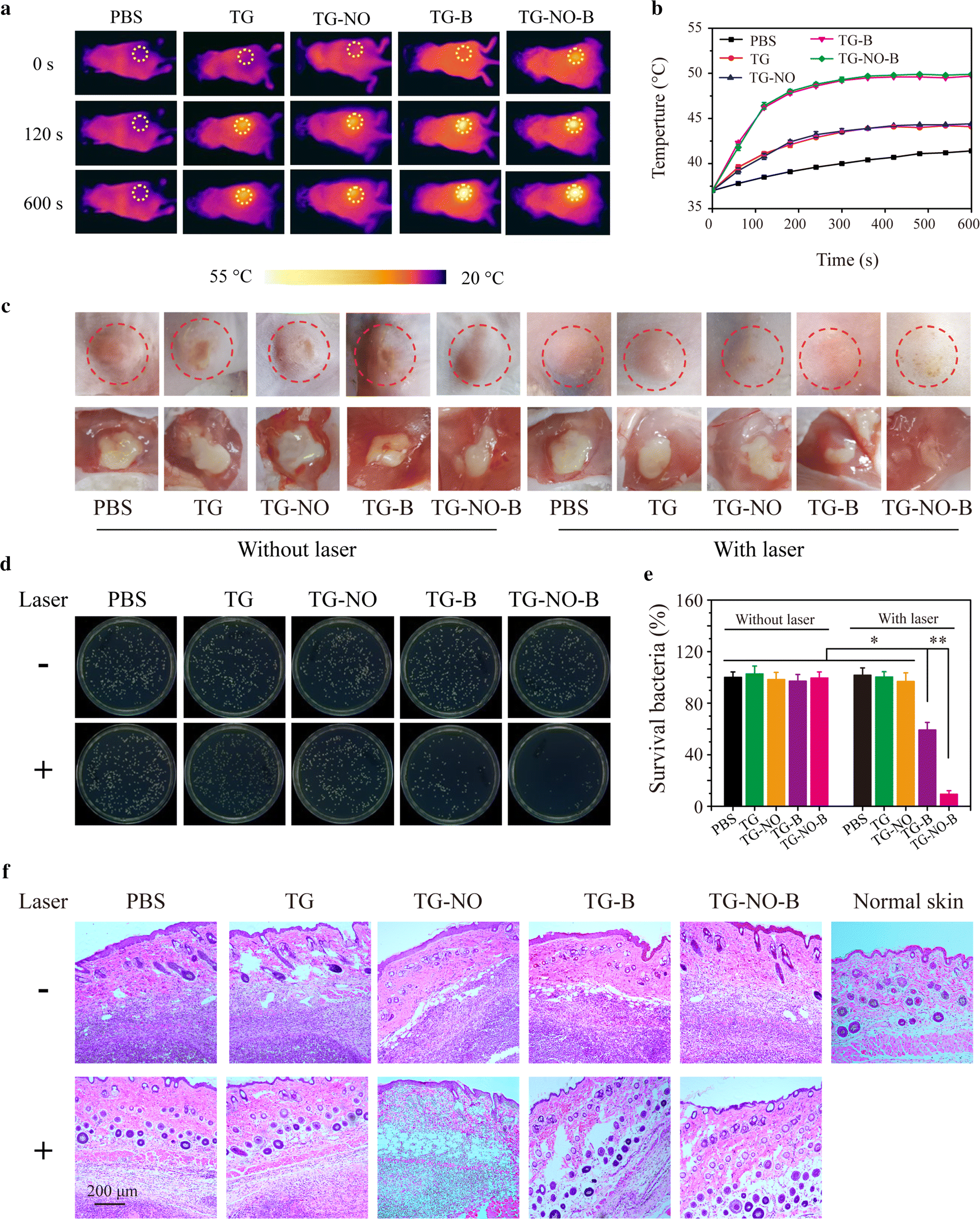 Fig. 10