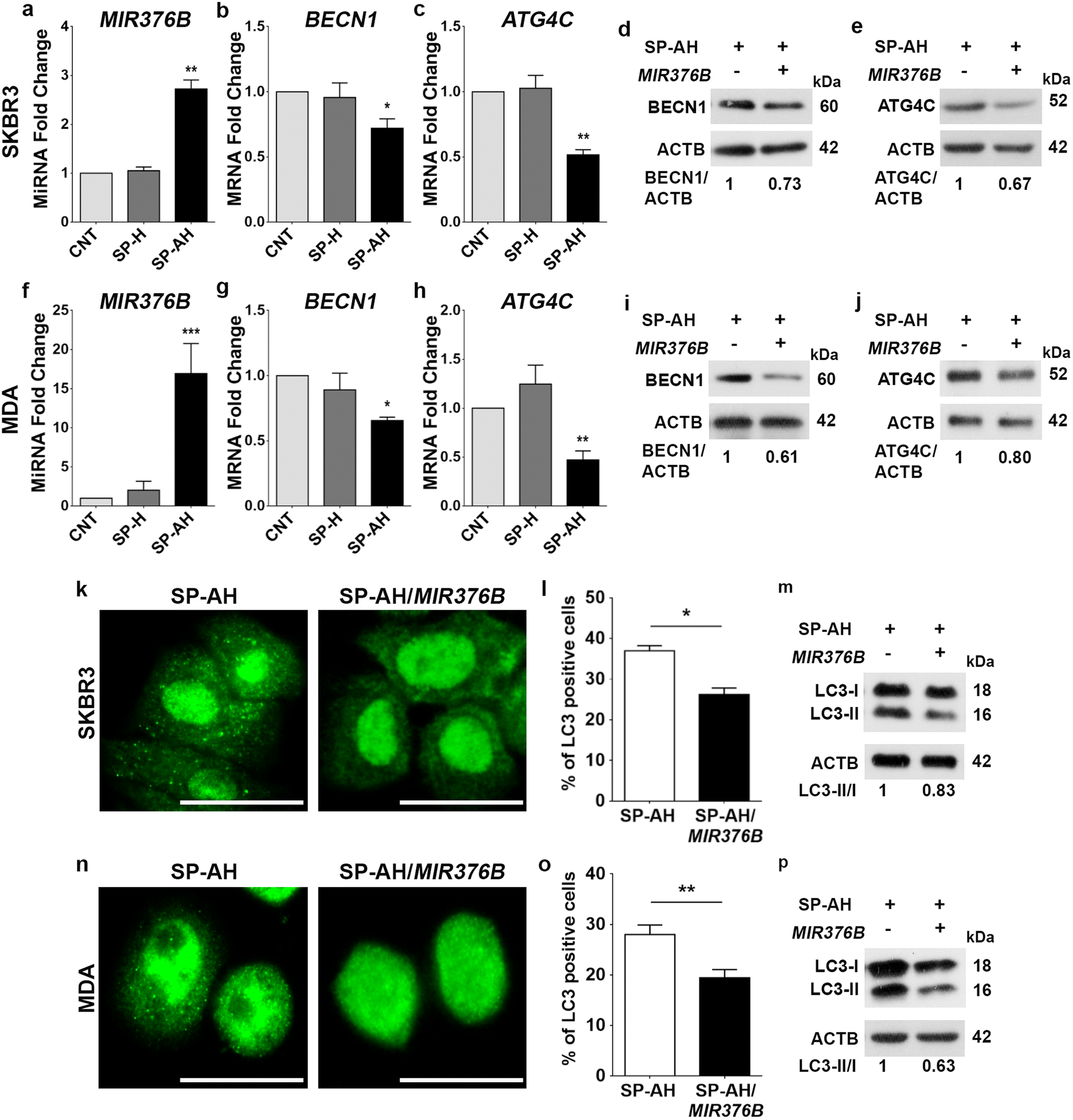 Fig. 5