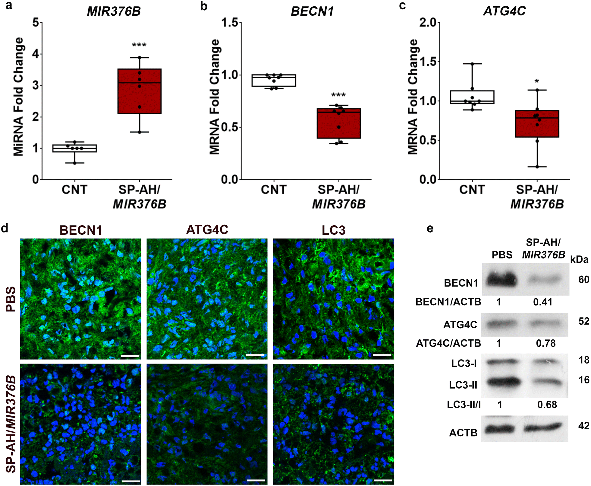 Fig. 6