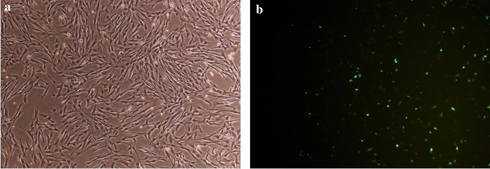 Fig. 4