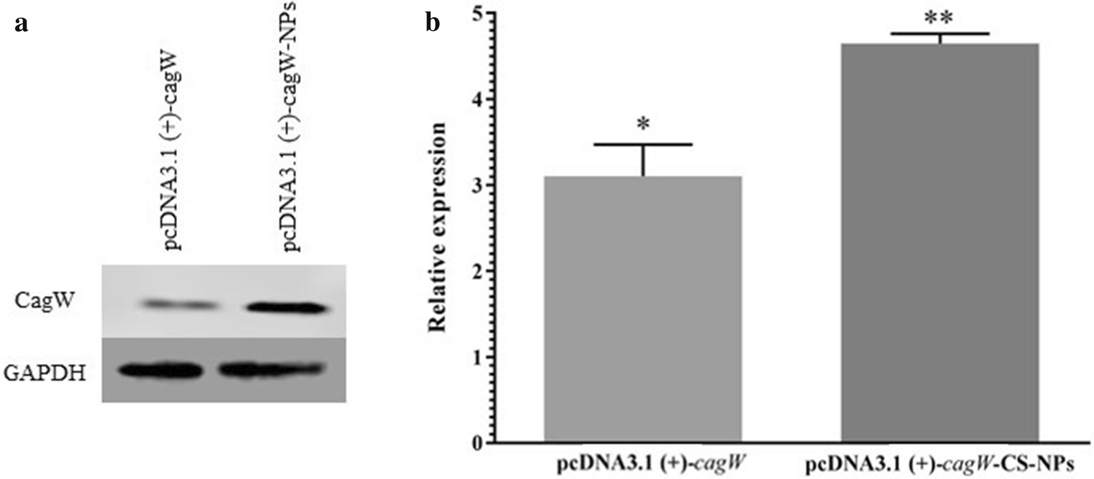 Fig. 5