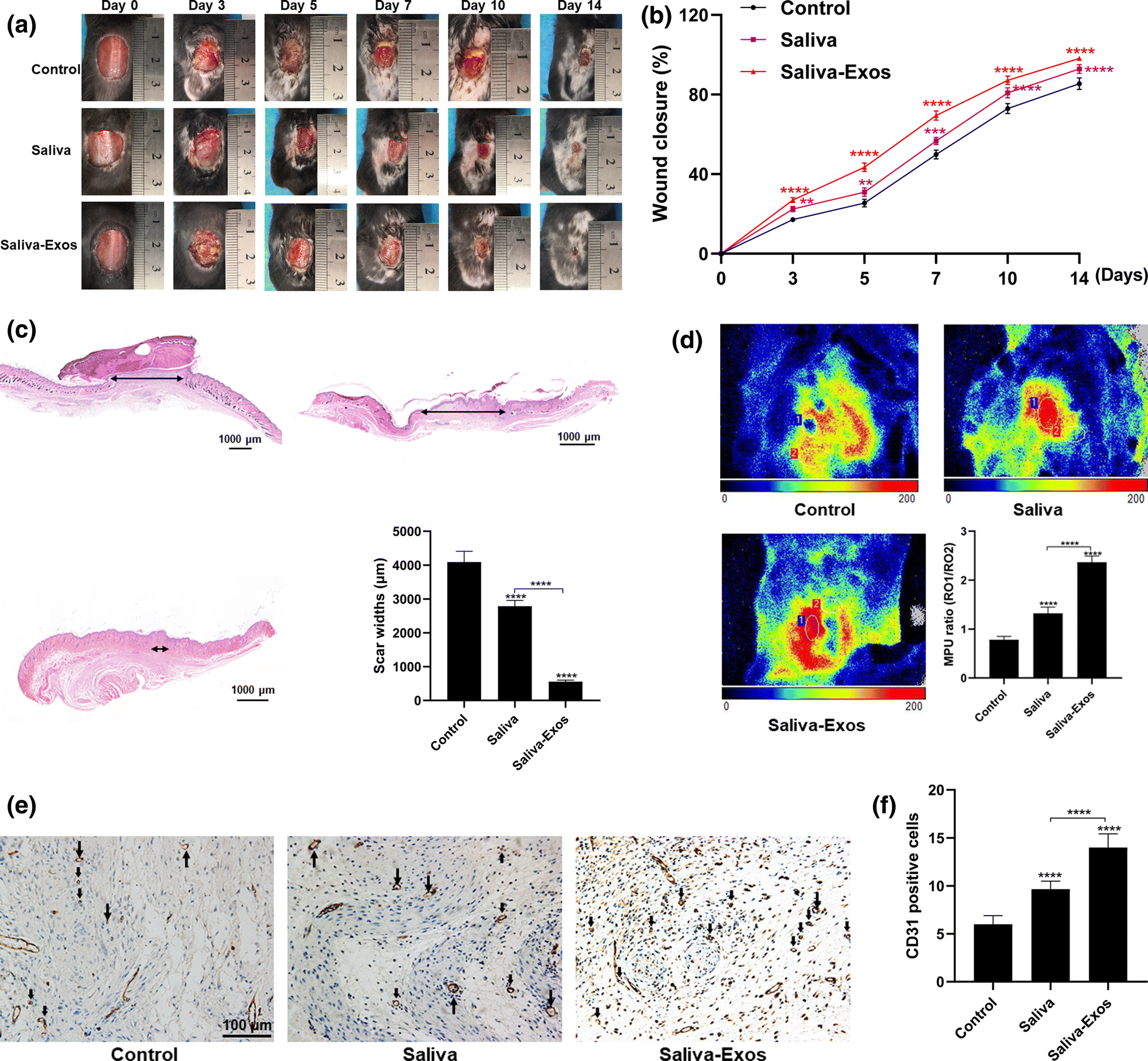 Fig. 2