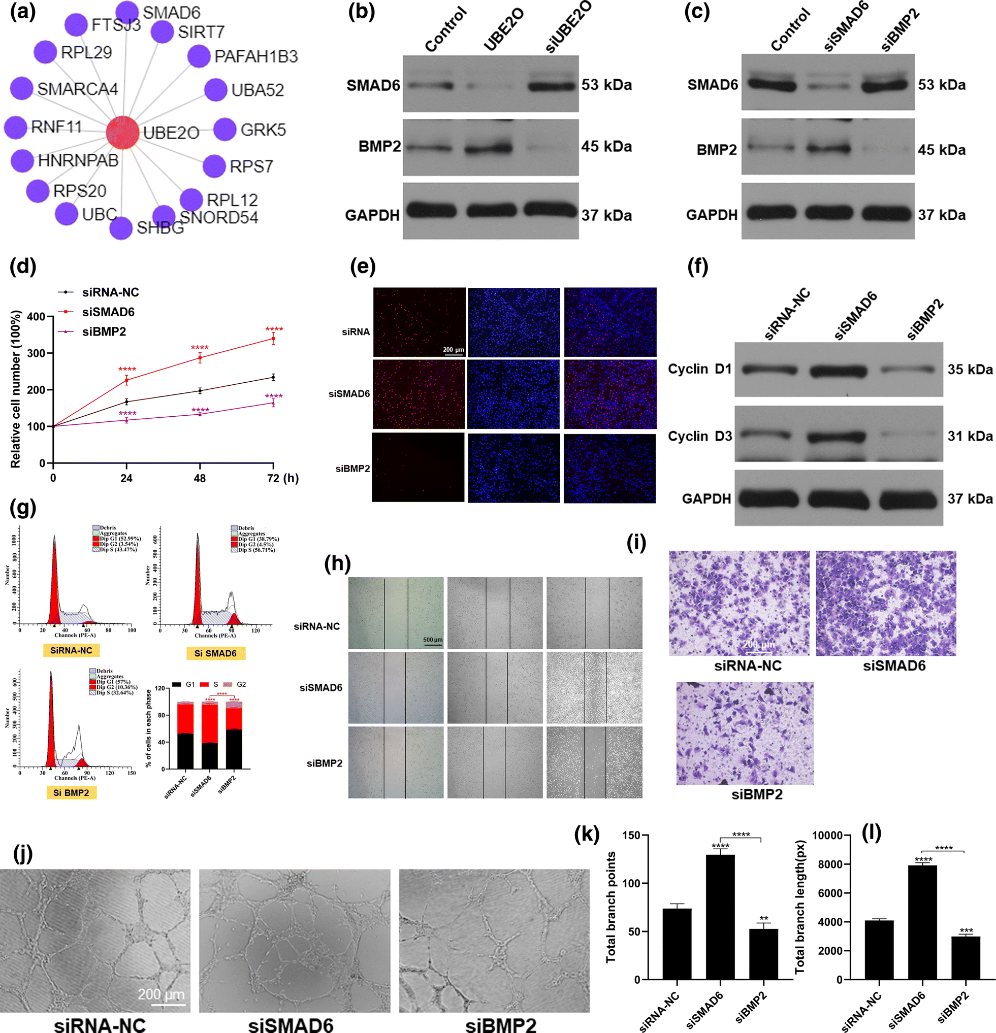 Fig. 6