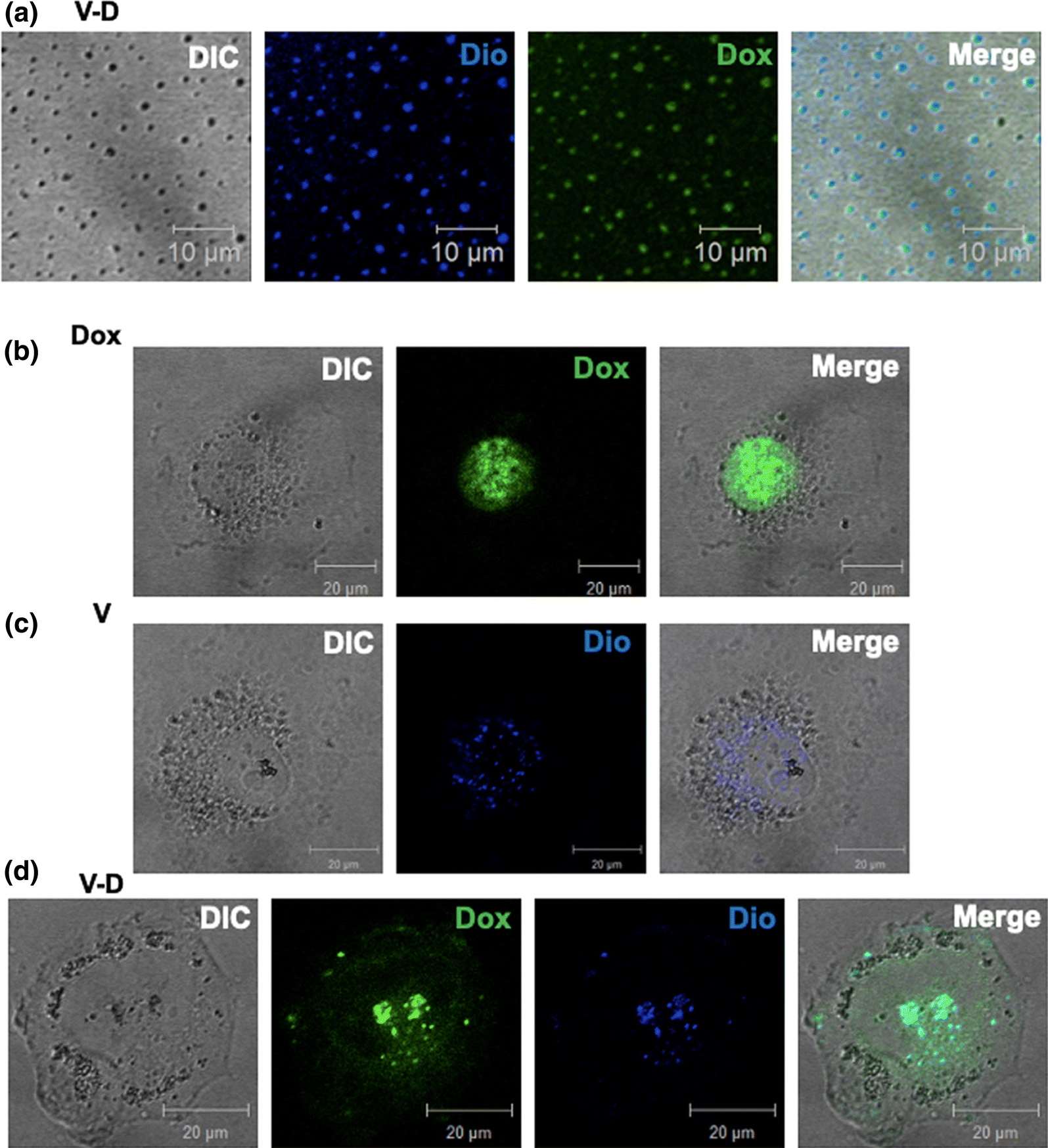 Fig. 4