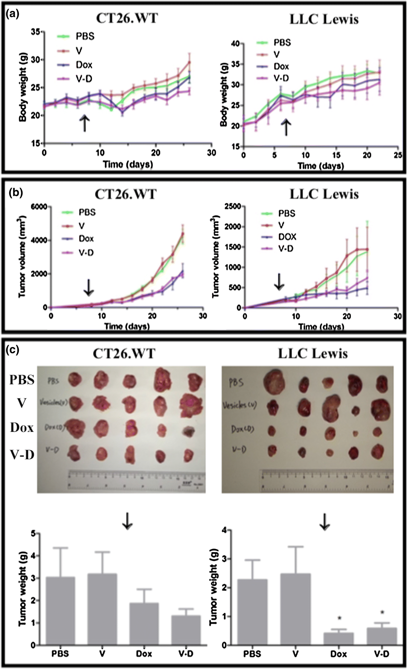 Fig. 7