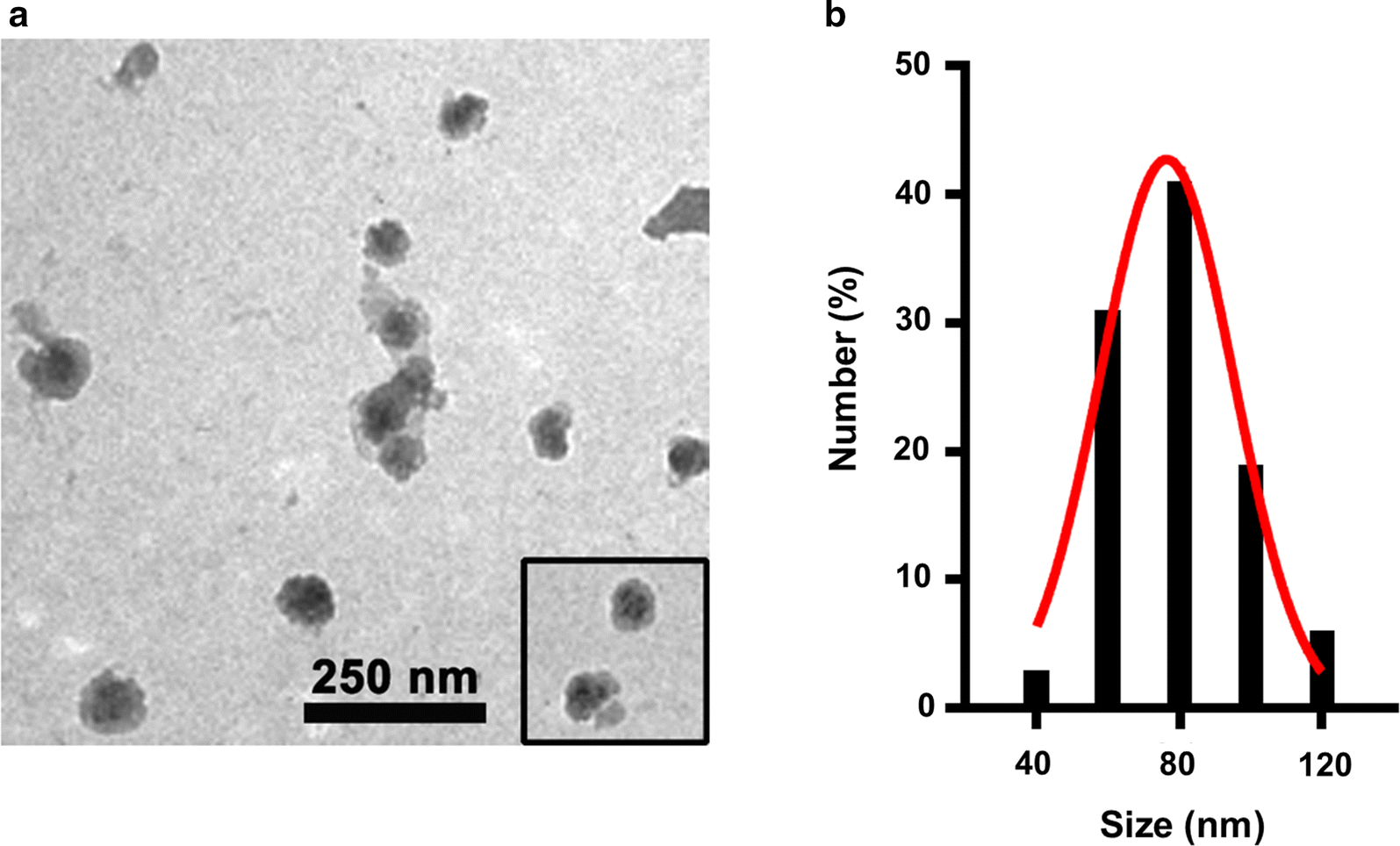 Fig. 1