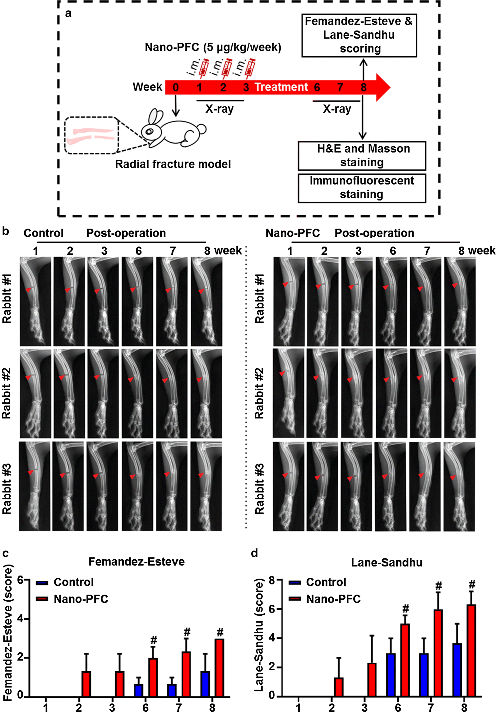 Fig. 2