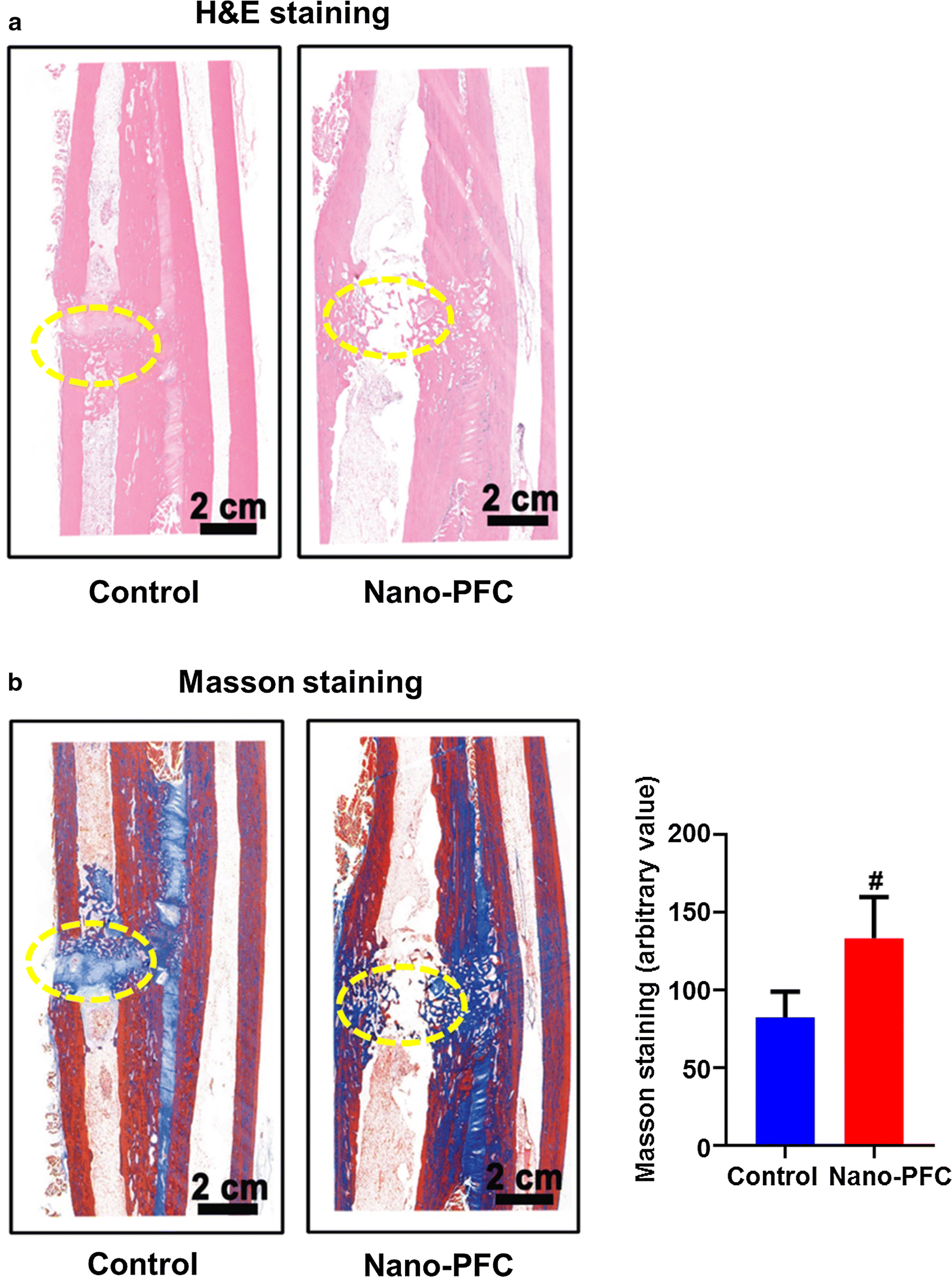 Fig. 3