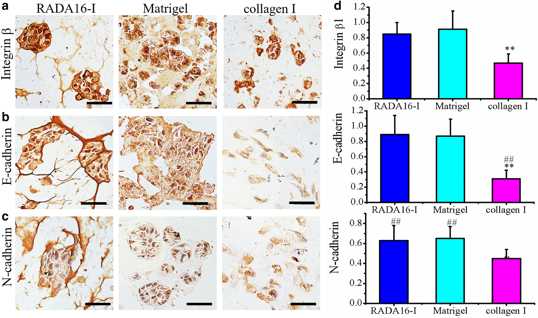 Fig. 6