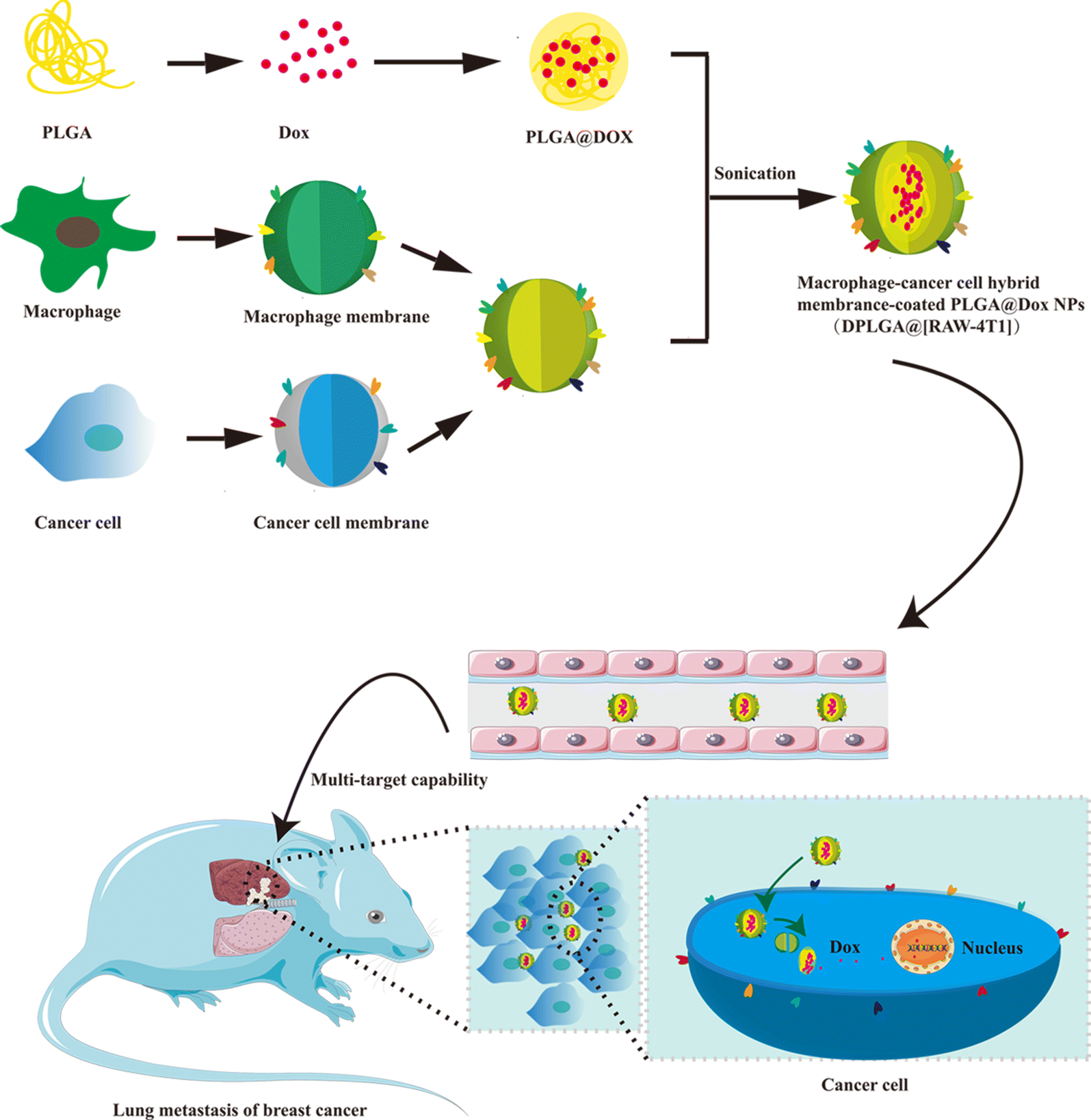 Scheme 1