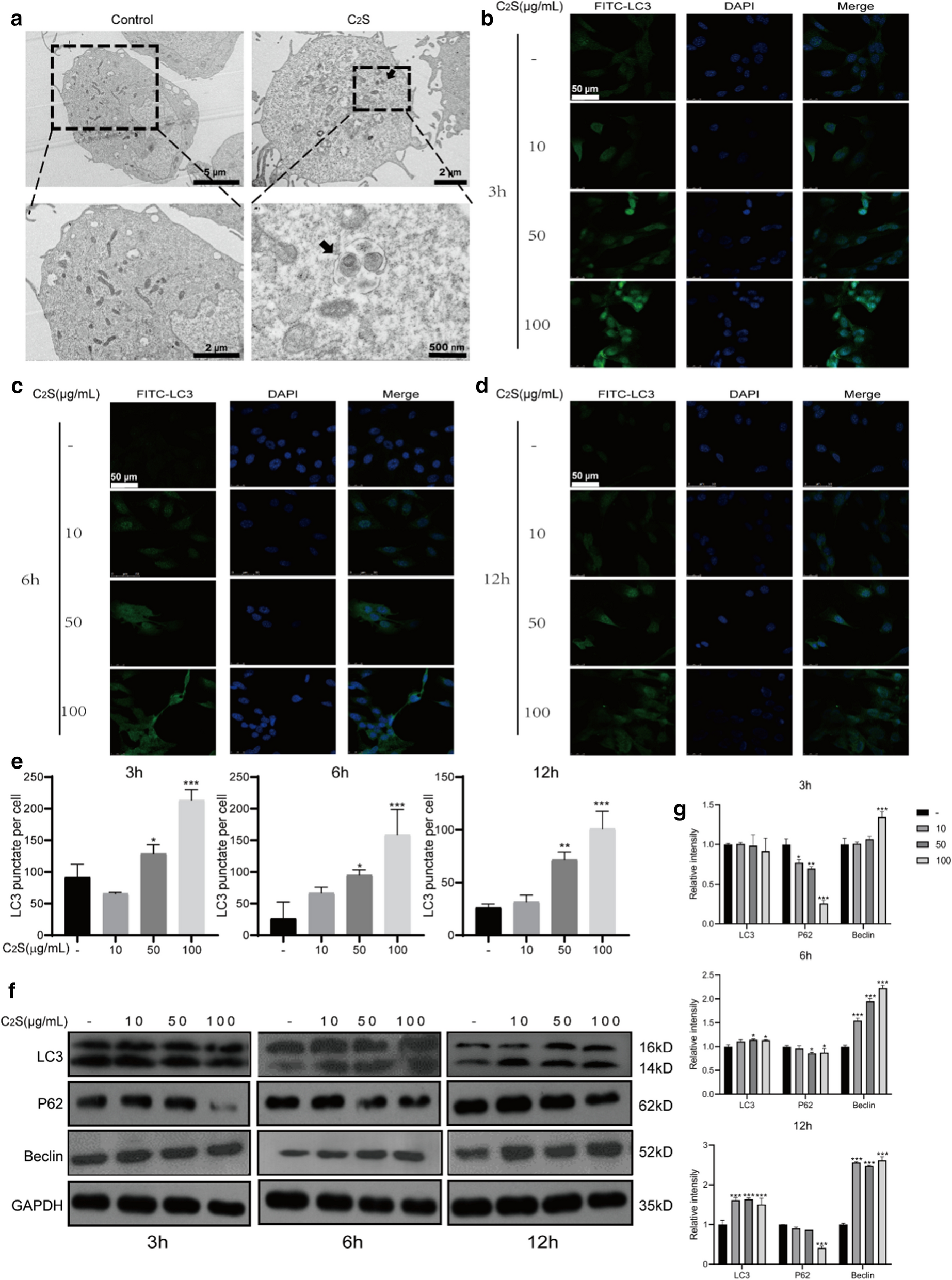 Fig. 4