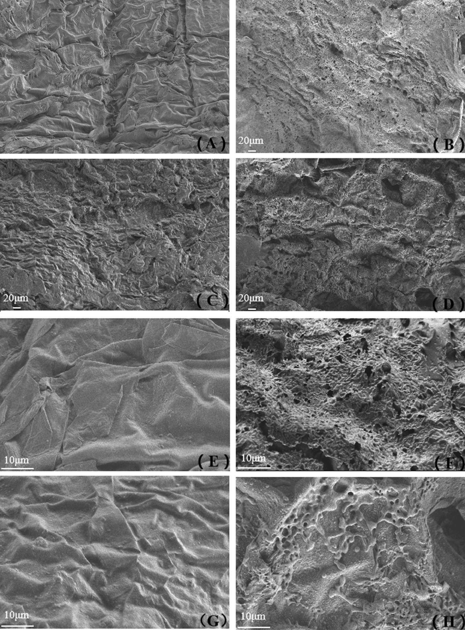 Fig. 7