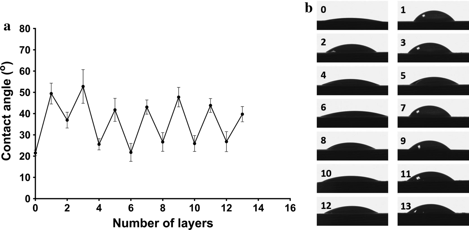 Fig. 1